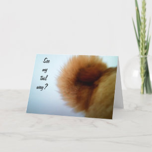 TAIL WAGGING ONE HAPPY DOG CARD