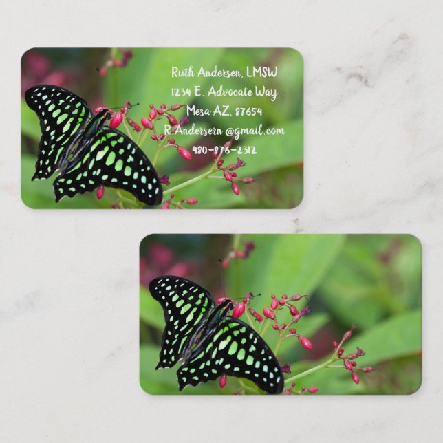 Tailed Jay butterfly Business Card (Front/Back)