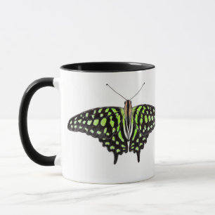 Tailed Jay Green and Black Butterfly Painting Mug