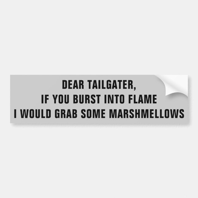 Tailgater, I Would Roast Marshmellows on You Bumper Sticker (Front)