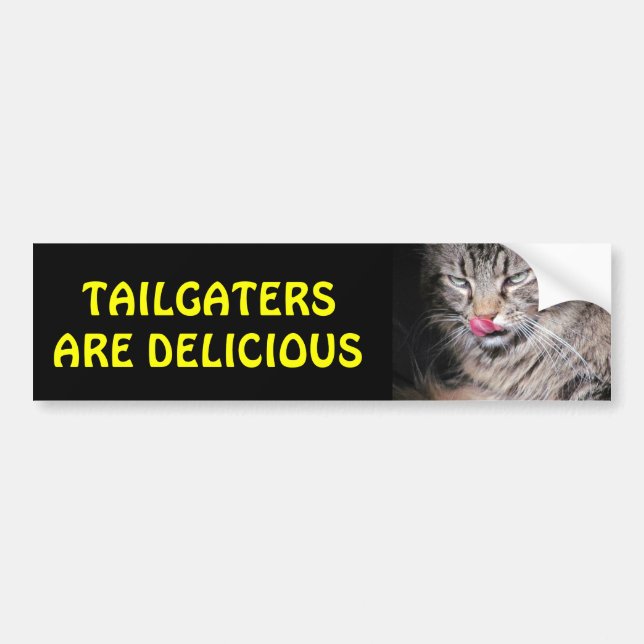 Tailgaters Are Delicious Grumpy Kitty Bumper Sticker (Front)