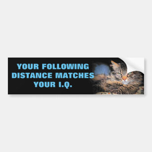 Tailgaters IQ? Same as Following Distance CAT Meme Bumper Sticker