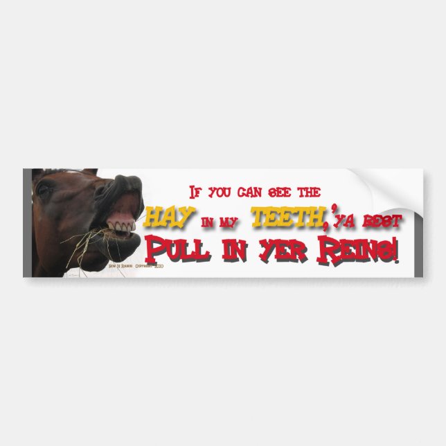 Tailgating Funny Horse Bumper Sticker (Front)