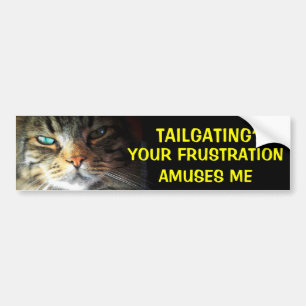 Tailgating? Your Frustration Amuses Bumper Cat Sticker