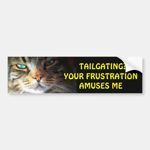 Image of Tailgating? Your Frustration Amuses Me Bumper Cat Bumper Sticker