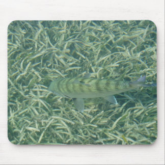 Tailing Bonefish Mouse Mat