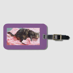 Tailor Dave Business Card Luggage Tag