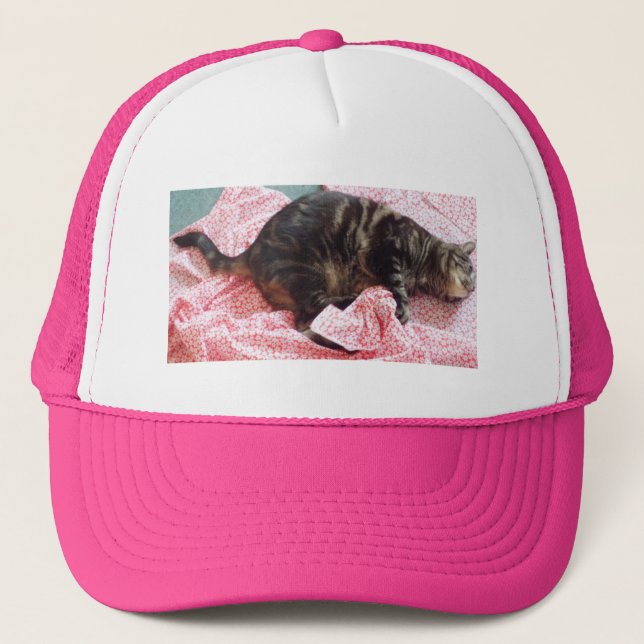 Tailor Dave Cap (Front)