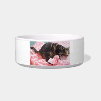 Tailor Dave Ceramic Pet Bowl