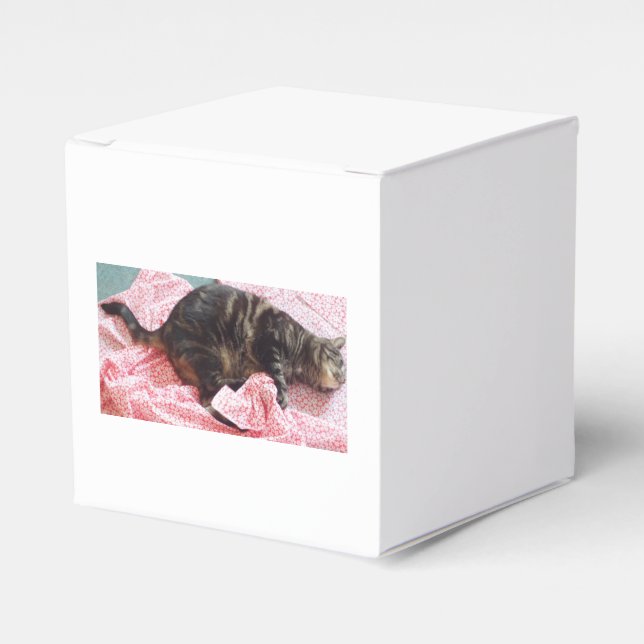 Tailor Dave Favour Box (Front Side)