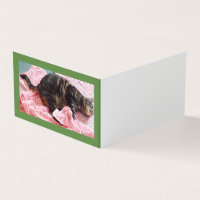Tailor Dave Folded Horizontal Book Table Card