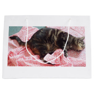 Tailor Dave Glossy Gift Bag