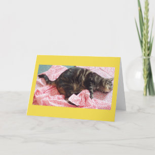 Tailor Dave Greeting Card
