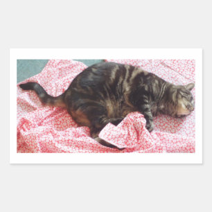 Tailor Dave Rectangular Sticker
