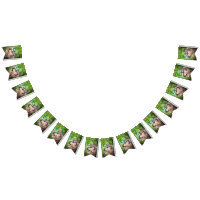 Taino Coqui Frog Flag