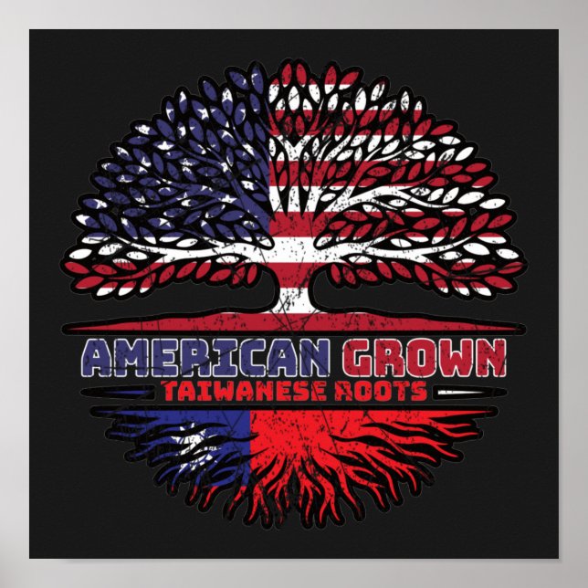 Taiwanese Taiwan US American USA United States Poster (Front)