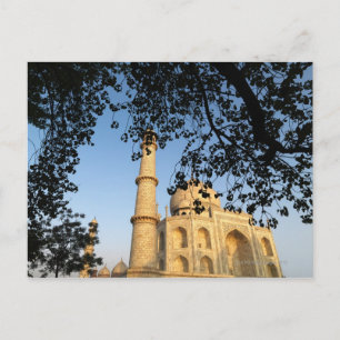 Taj Mahal at sunrise. Agra, India 2008. Postcard