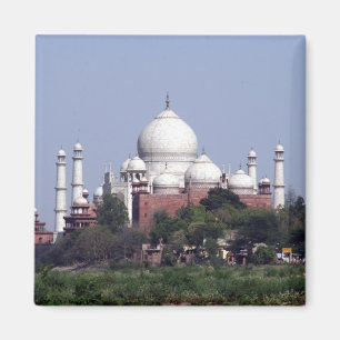 taj mahal far magnet