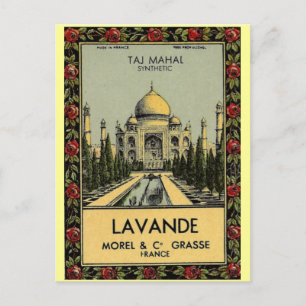 Taj Mahal Lavande Postcard