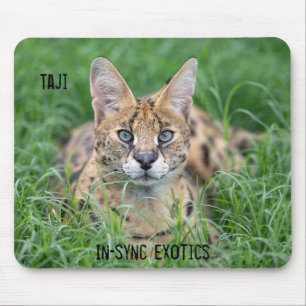 Taji - mouse mat