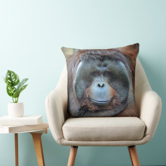 Takai cushion