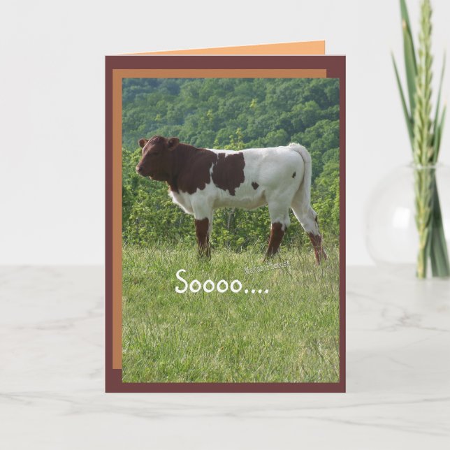 TakaraBday -customise- any occasion Card (Front)