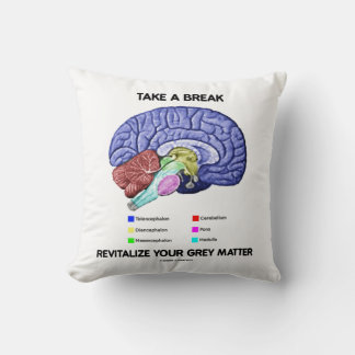 Take A Break Revitalise Your Grey Matter Brain Cushion