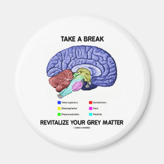 Take A Break Revitalise Your Grey Matter (Brain) Magnet