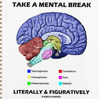 Take A Mental Break Literally & Figuratively Planner