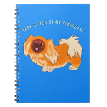 Take a Peek at my Pekingese