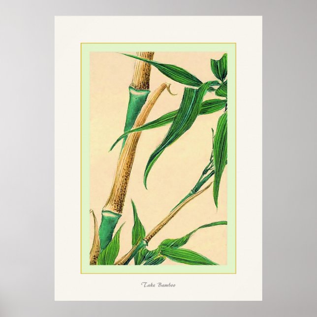 Take Bamboo ~ Vintage Japanese Fine Art Print (Front)