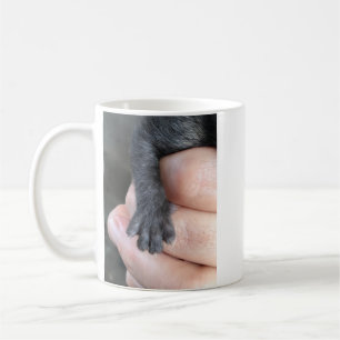 Take Care Of Me, Kitten Coffee Mug
