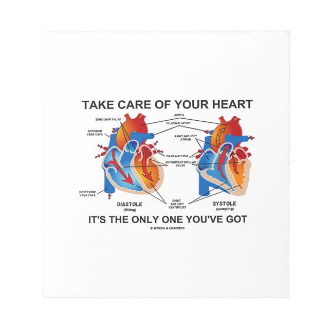 Take Care Of Your Heart It's Only One You've Got Notepad (Front)