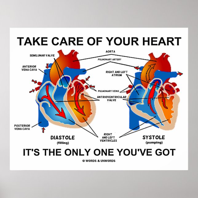 Take Care Of Your Heart It's The Only One You've Poster (Front)