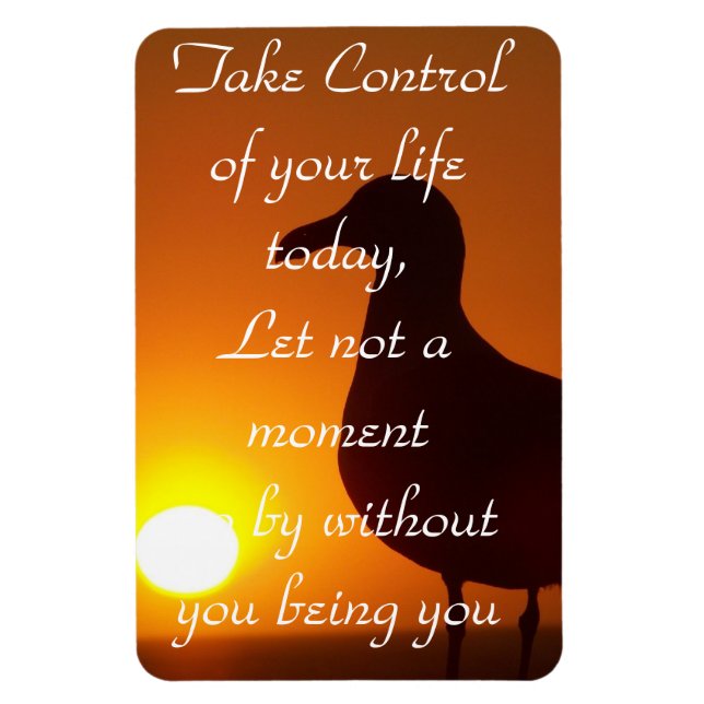 Take Control!_ Magnet (Vertical)