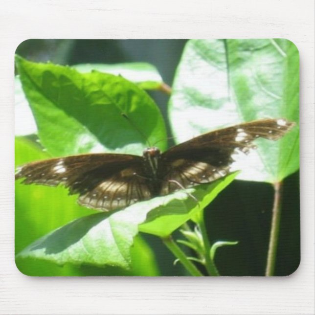 Take Flight Mouse Mat (Front)