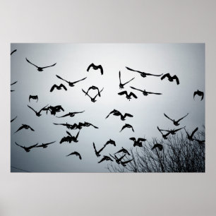 Take Flight Poster