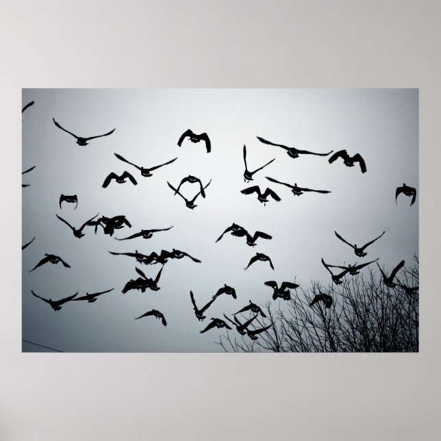 Take Flight Poster (Front)