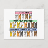 Take it Easy After Your Operation Cute Cats