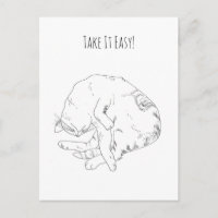 Take It Easy Sleeping Cat Personalised