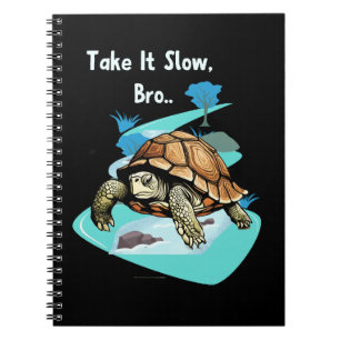 Take It Slow, Bro Turtle Notebook