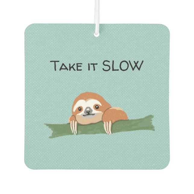 Take it SLOW Car Air Freshener (Front)