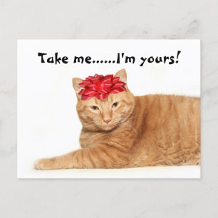 Take me......I'm yours! Postcard