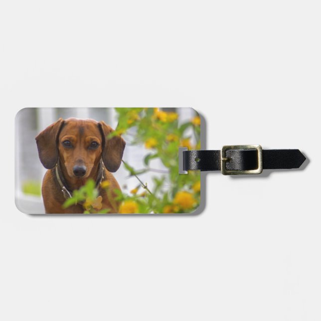 Take me with You Dachshund Luggage Tag (Front Horizontal)