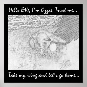 TAKE MY WING LET'S GO HOME SAVE WILDLIFE POSTER