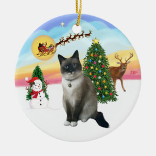 Take Off - Snow Shoe Cat Ceramic Tree Decoration
