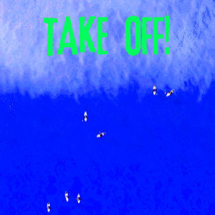 Take Off! surfer term catch a wave T-Shirt