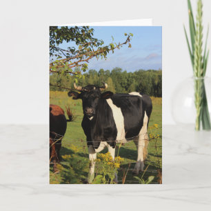 Take the Bull by the Horns Card