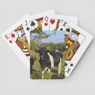 Take the Bull by the Horns Playing Cards