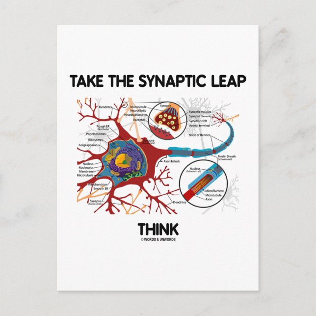 Take The Synaptic Leap Think (Neuron / Synapse) Postcard (Front)